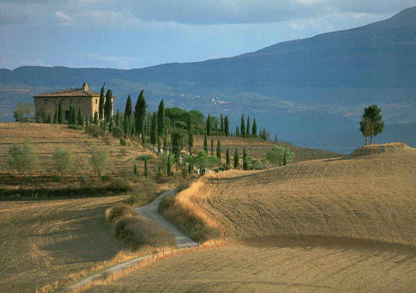 Tuscan Landscape by Morandi - 20 X 28" - Fine Art Poster.