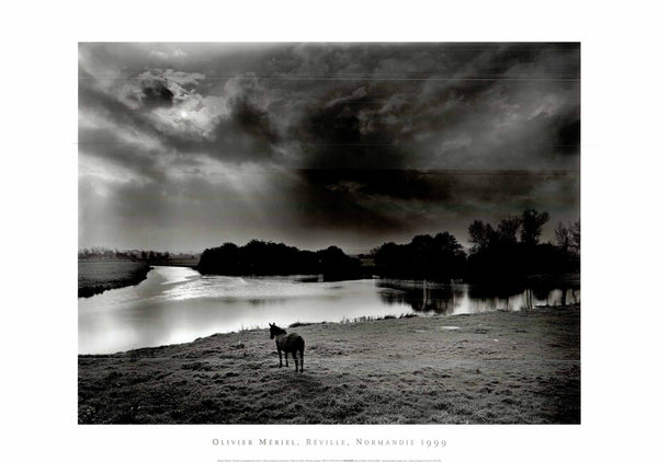 Horse Looking at the River, 1999 by Olivier Heriel - 20 X 28" - Fine Art Poster.