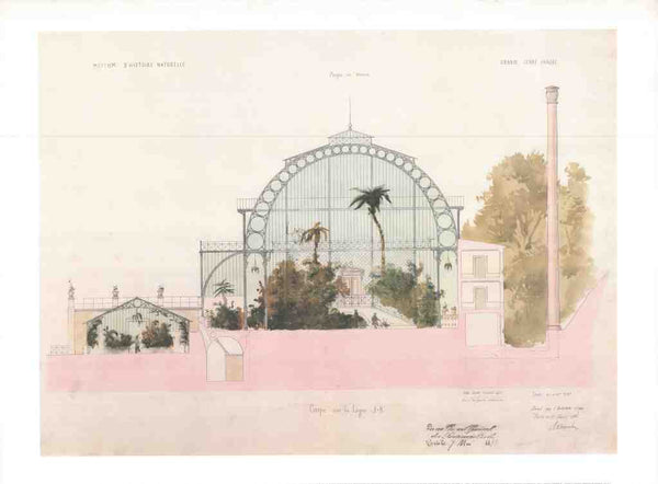 Study dor the Paris Natural History Museum Greenhouses by Charles Rohault de Fleury - 24 X 32 Inches (Art Print)