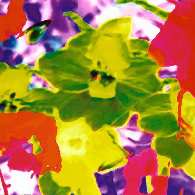 Fluo Flowers / Fleur fluo