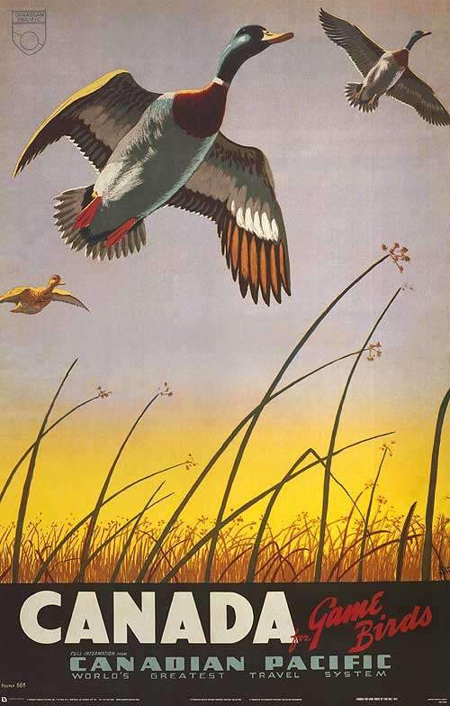 Canada for Game Birds by Canadian Pacific - 24 X 36" - Fine Art Vintage Poster.