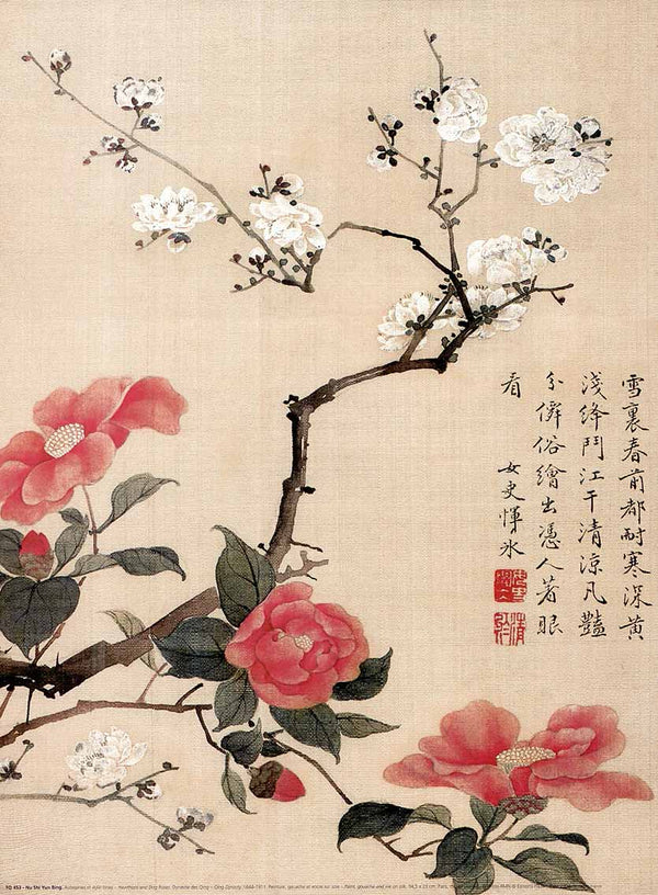 Hawthorn and Dog Roses by Nu Shi Yun Bing - 12 X 16 Inches (Poster)