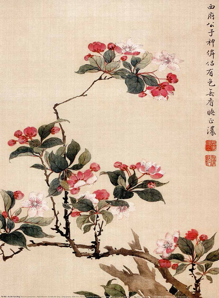 Apple Blossom by Nu Shi Yun Bing - 12 X 16 Inches (Poster)