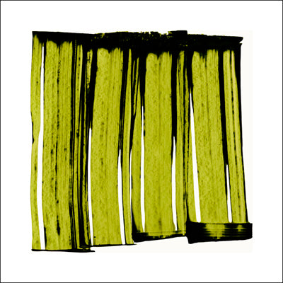 Sans Titre (Green), 2012  - (Silkscreen)