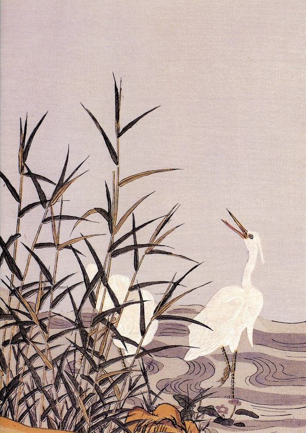 Herons et Roseaux by Suzuki Haronobu - 5 X 7 Inches (Note Card)