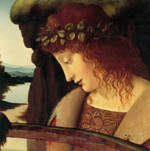 Narcissus, 1490-1499