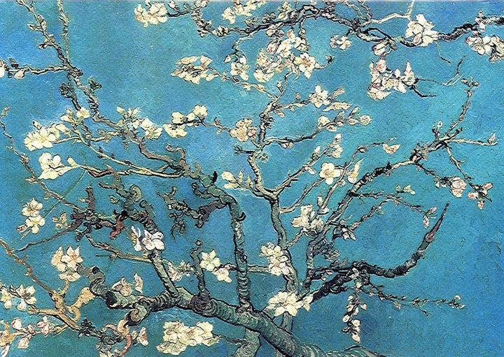Branch of Almond Tree in Blossom, 1890 by Van Gogh - 5 X 7" (Greeting Card)