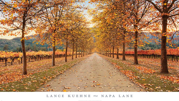 Napa Lane