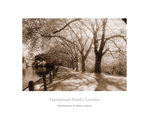 Hampstead Ponds, London