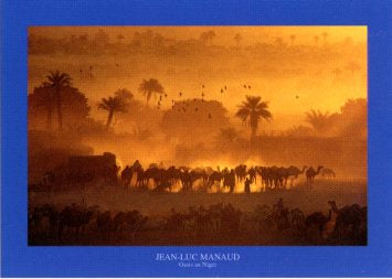 Oasis de Fachi, Niger by Jean-Luc Manaud - 20 X 28 Inches (Art Print)