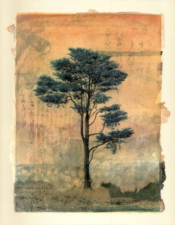 Presidio Cypress Study # 2, 1999 by Donald Farnsworth - 19 X 24" (Art Print)