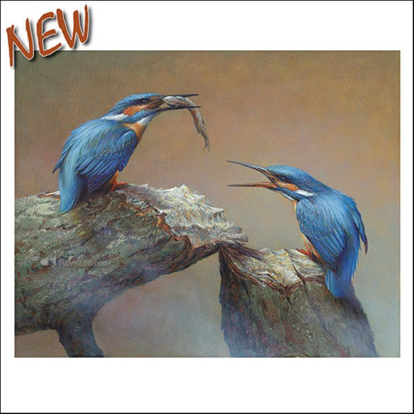 Feeding Kingfishers by Erik van Ommen - 6 X 6" (Greeting Card)