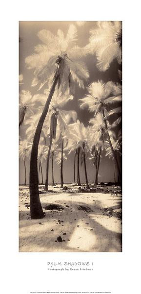 Palm Shadows I by Susan Friedman - 14 X 28 Inches (Art Print)