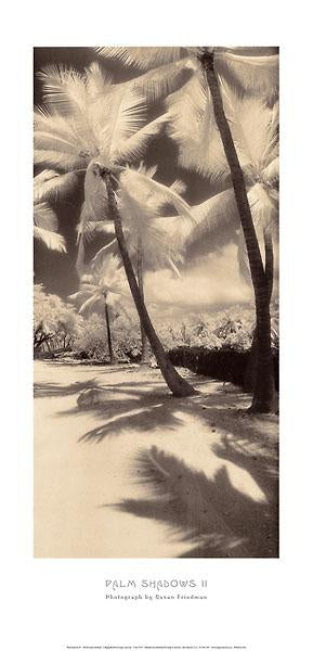 Palm Shadows II by Susan Friedman - 14 X 28 Inches (Art Print)