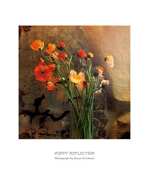 Poppy Reflection by Susan Friedman - 16 X 20 Inches (Art Print)