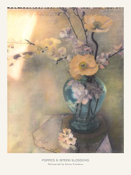 Poppies and Spring Blossoms by Susan Friedman - 18 X 24 Inches (Art Print)