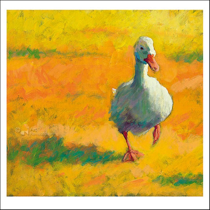 White Duck by Theo Onnes - 6 X 6" (Greeting Card)