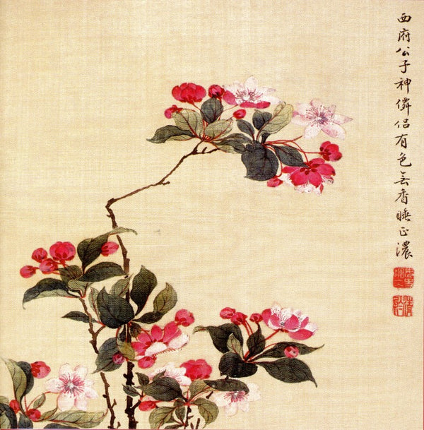 Apple Blossom by Nu Shi Yun Bing - 6 X 6 Inches (Greeting Card)