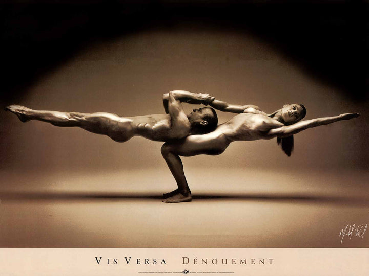 Vis Versa (Dénouement) by Michel Pilon - 18 X 24 Inches (Art Print)